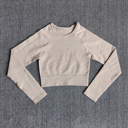 Women's Sportswear Yoga Sets Ribbed Seamless Long Sleeve Workout