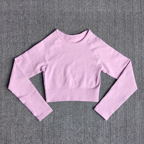 Women's Sportswear Yoga Sets Ribbed Seamless Long Sleeve Workout